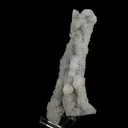 Chalcedony Coral Natural Mineral Specimen - image 2