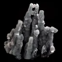 Chalcedony Coral Natural Mineral Specimen - image 3