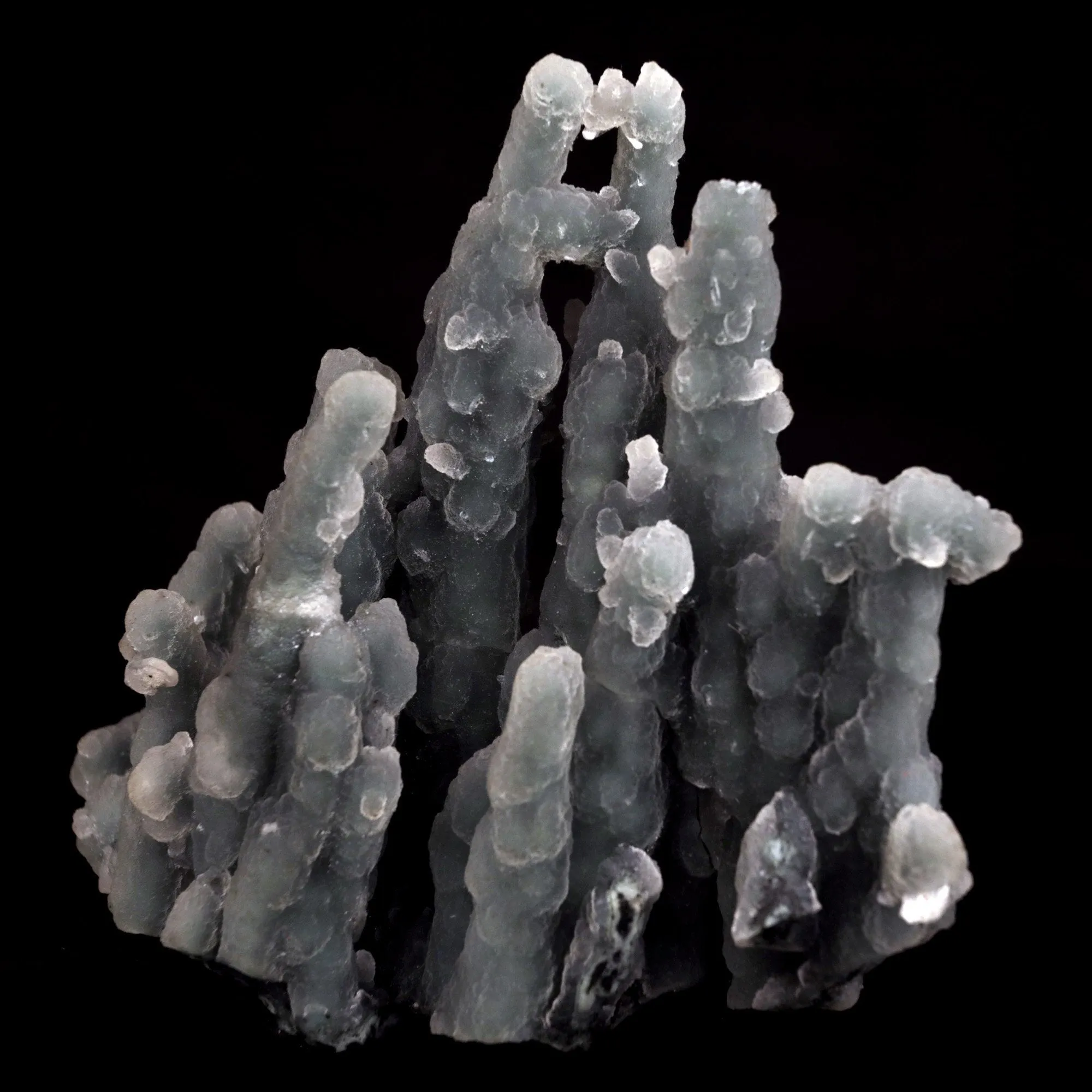 Chalcedony Coral Natural Mineral Specimen - image 3