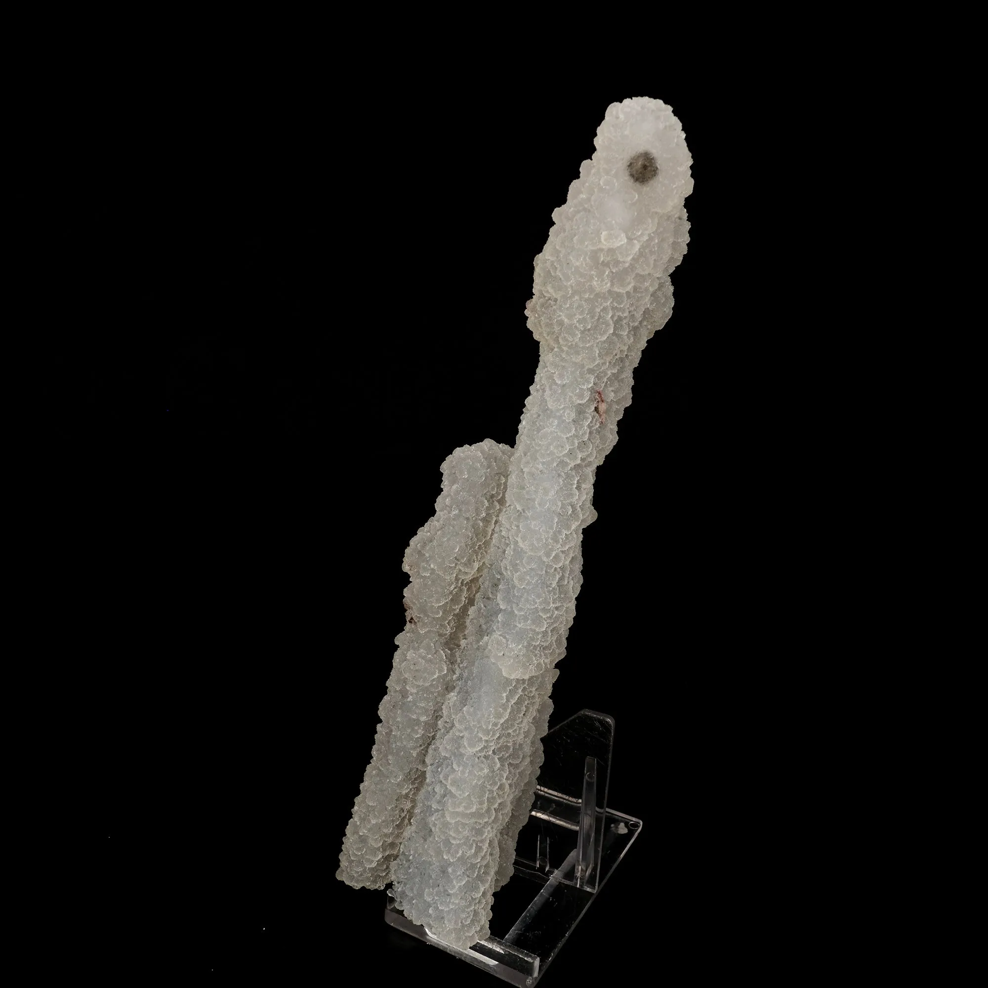 Chalcedony Coral Natural Mineral Specimen - image 2