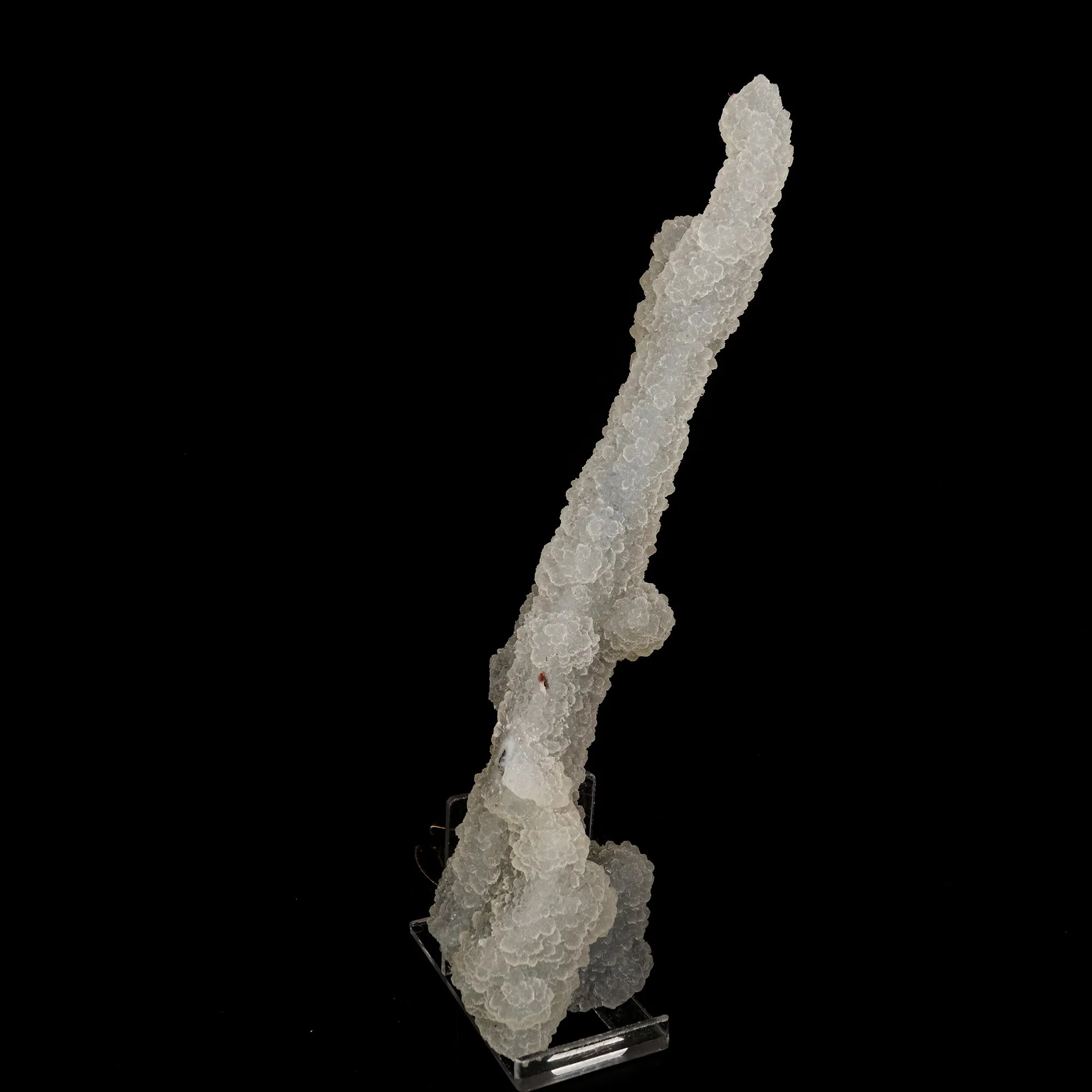 Chalcedony Coral Natural Mineral Specimen - image 3