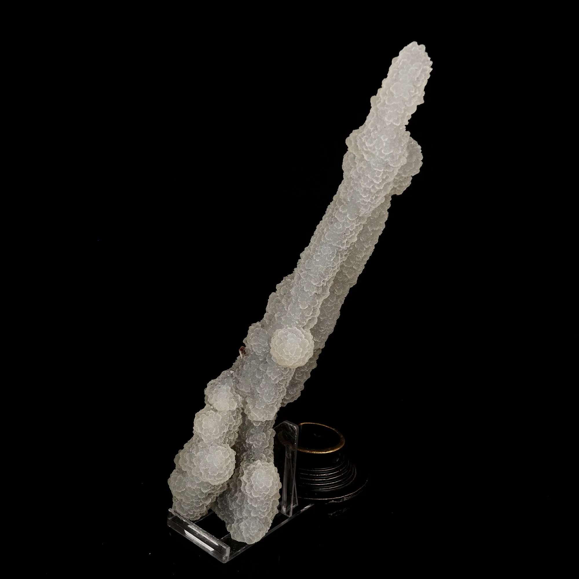 Chalcedony Coral Natural Mineral Specimen - image 2