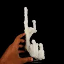 Chalcedony Coral Natural Mineral Specimen - image 4