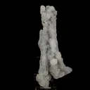 Chalcedony Coral Natural Mineral Specimen - image 1
