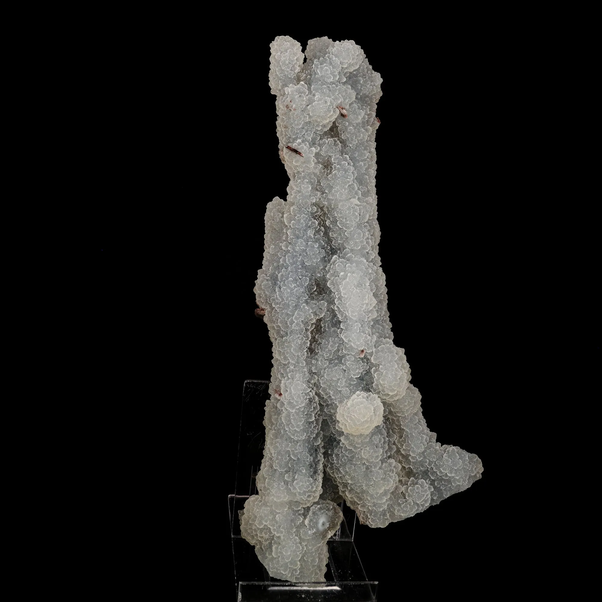 Chalcedony Coral Natural Mineral Specimen - image 1
