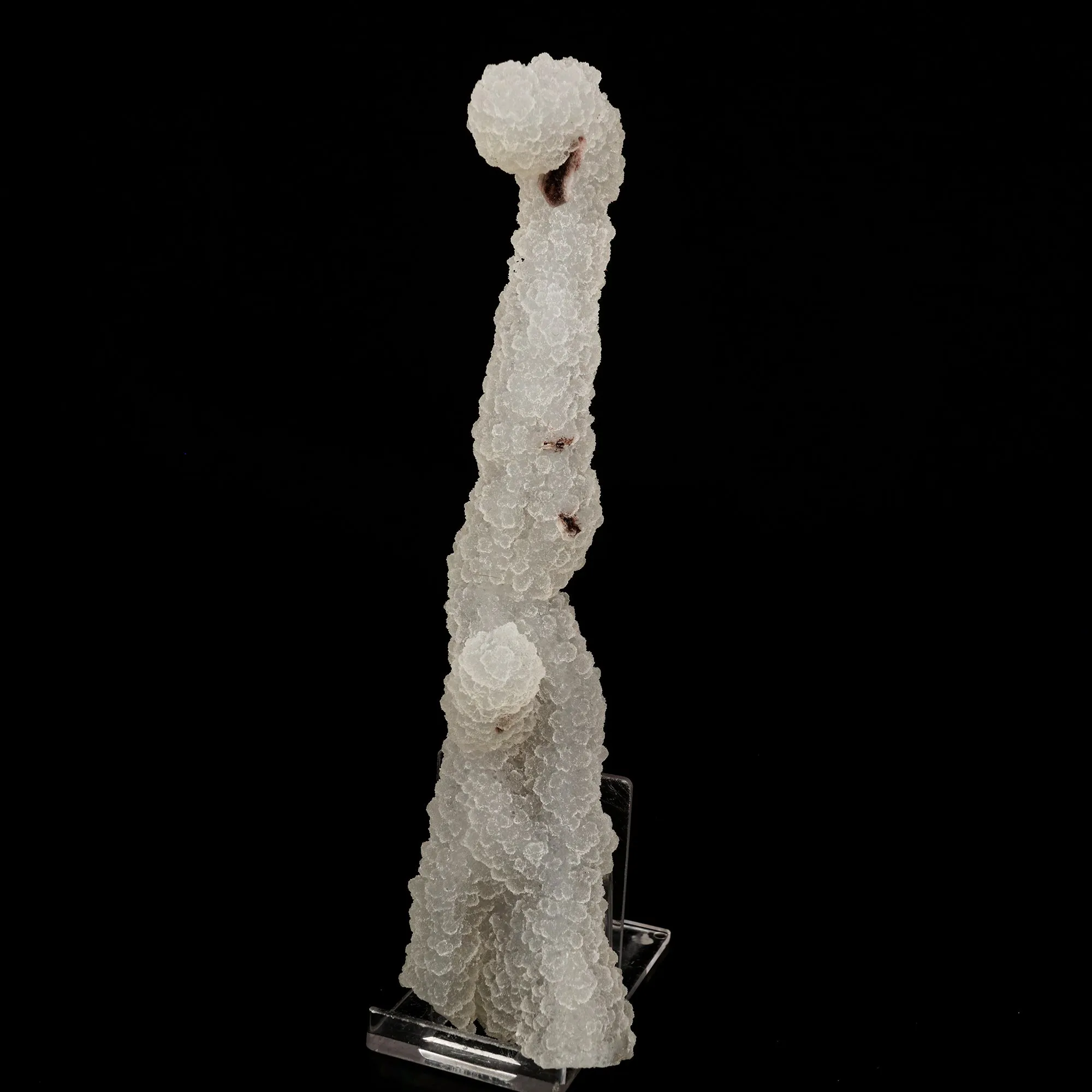 Chalcedony Coral Natural Mineral Specimen - image 1
