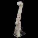 Chalcedony Coral Natural Mineral Specimen - image 3