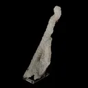 Chalcedony Coral Natural Mineral Specimen - image 2