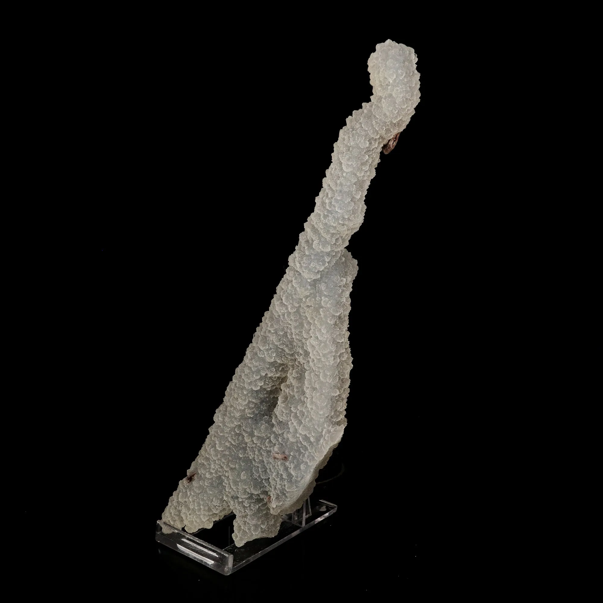 Chalcedony Coral Natural Mineral Specimen - image 2