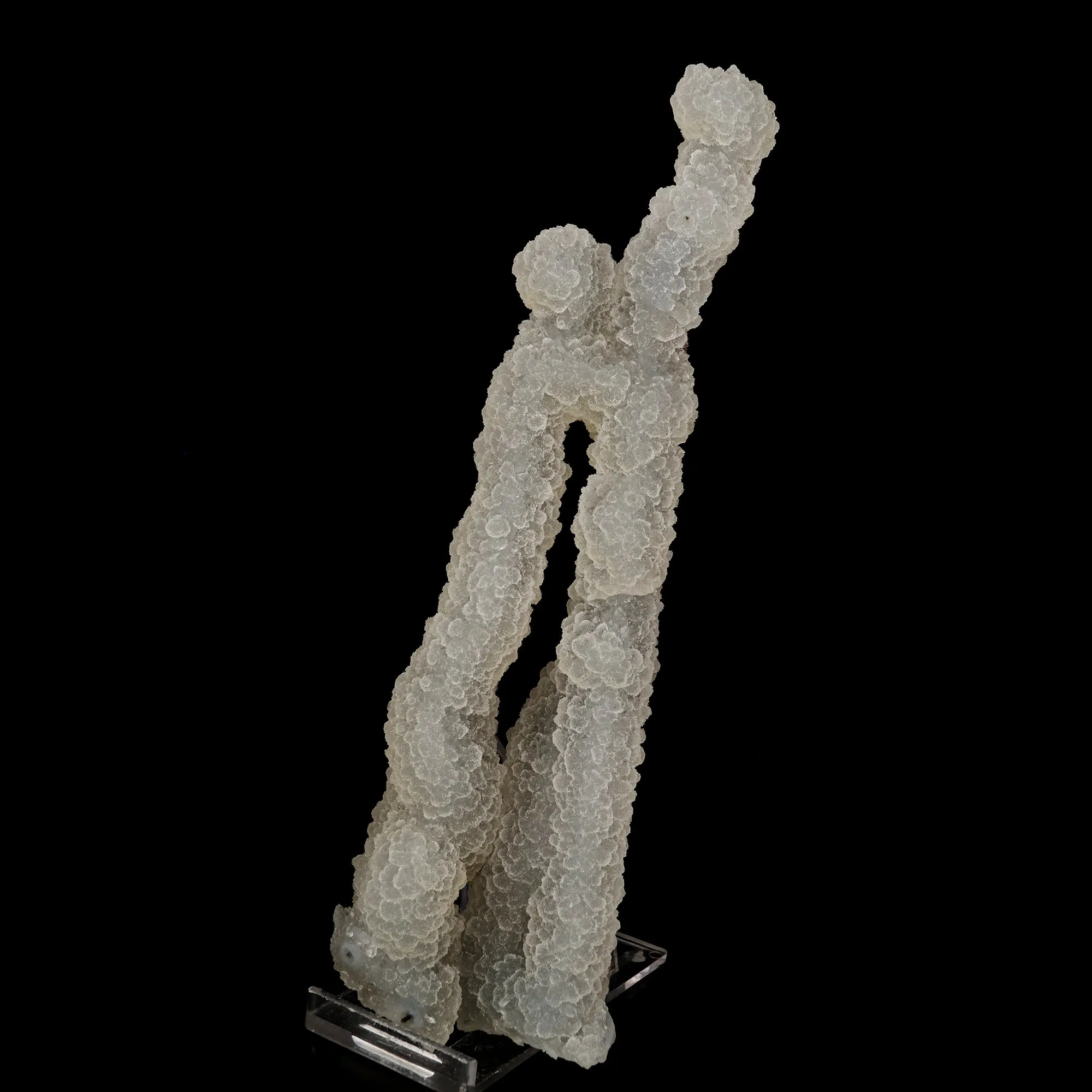 Chalcedony Coral Natural Mineral Specimen - image 2
