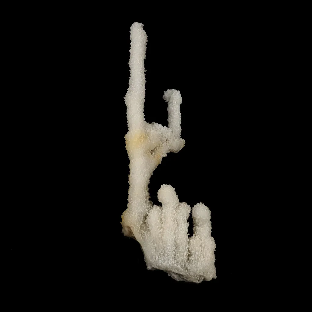 Chalcedony Coral Natural Mineral Specimen image