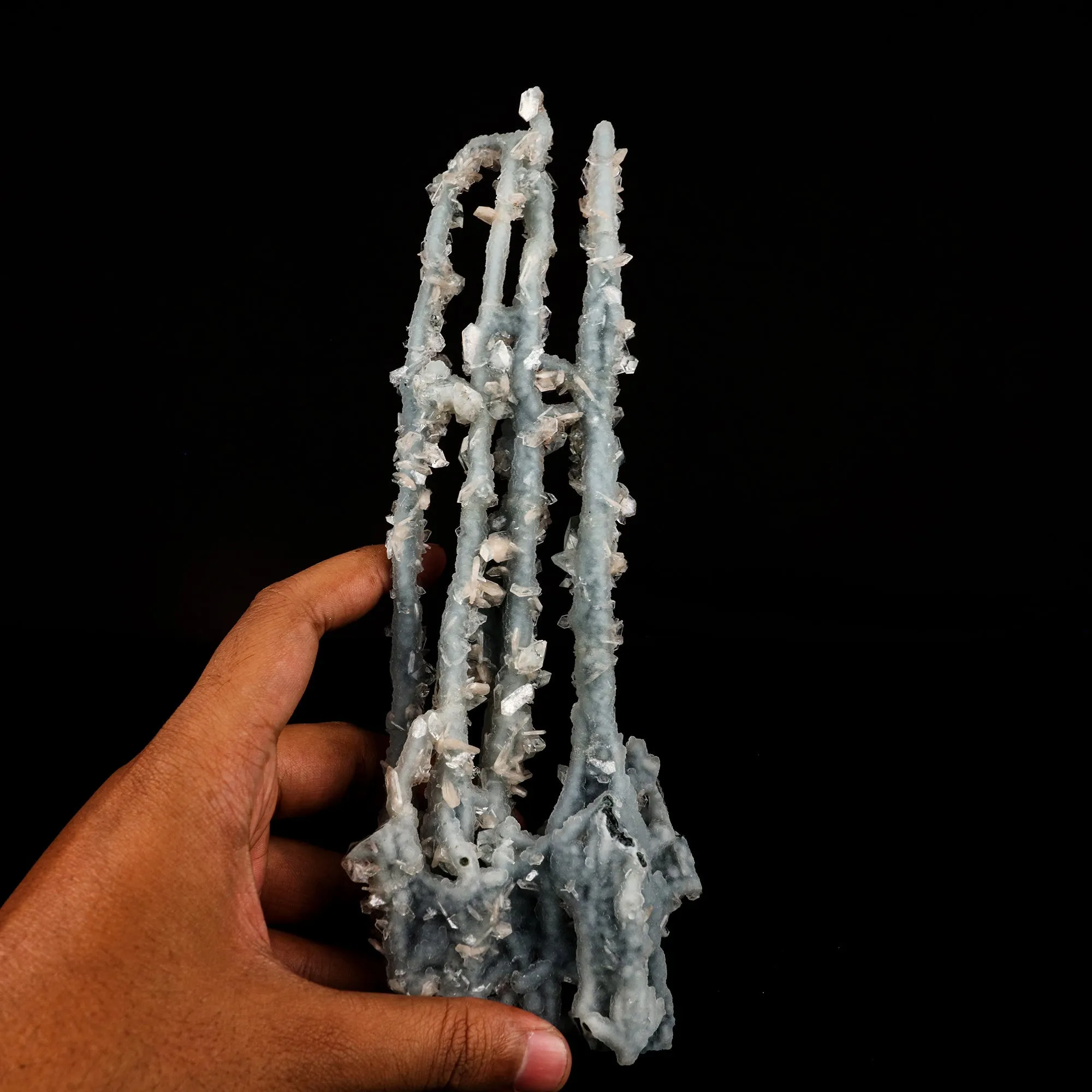 Chalcedony Coral Natural Mineral Specimen - image 5