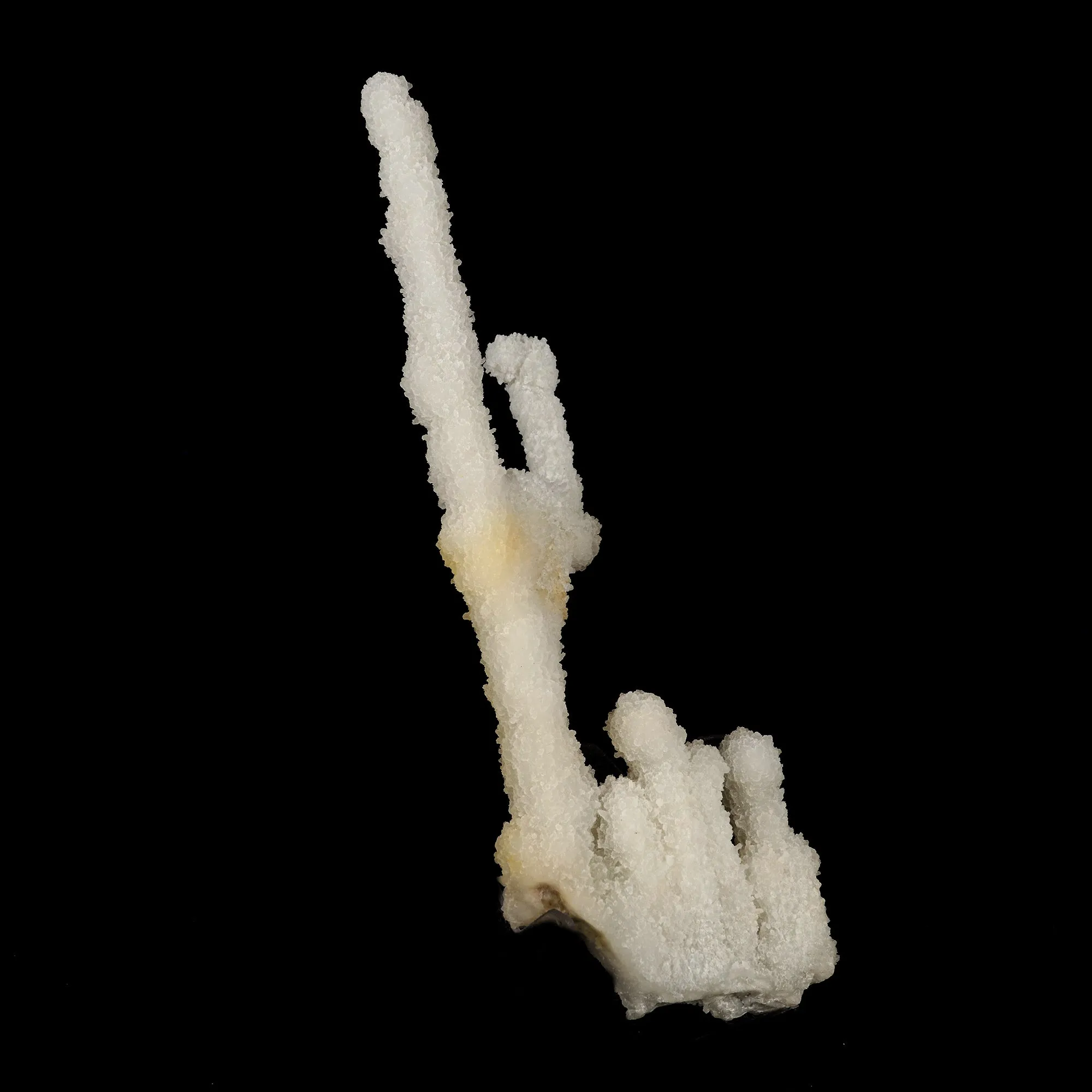 Chalcedony Coral Natural Mineral Specimen - image 3