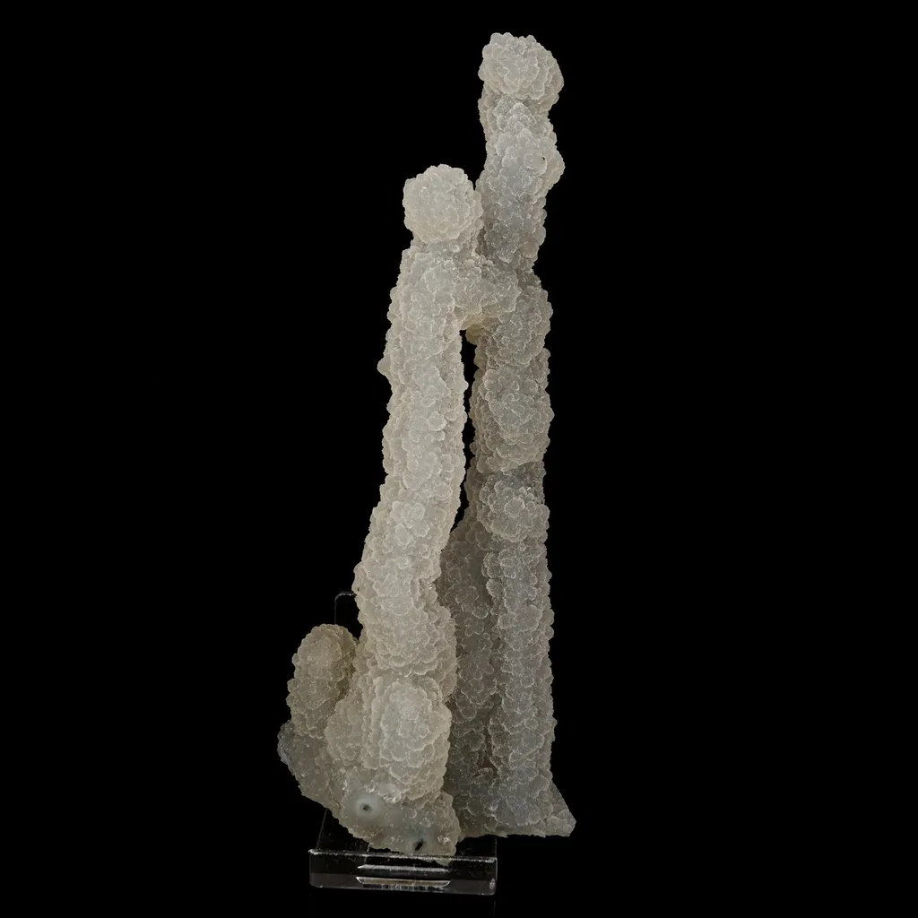 Chalcedony Coral Natural Mineral Specimen image