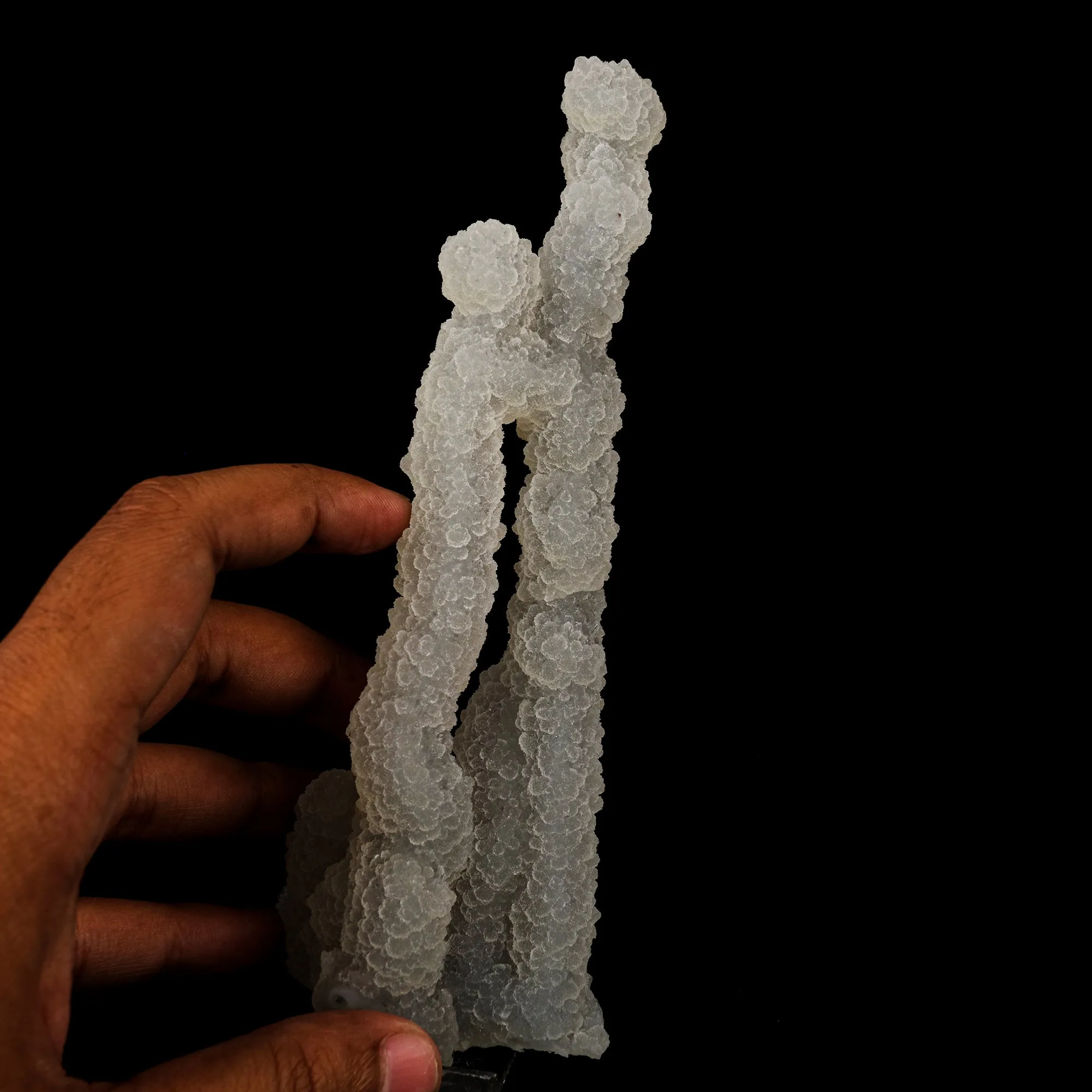 Chalcedony Coral Natural Mineral Specimen - image 4