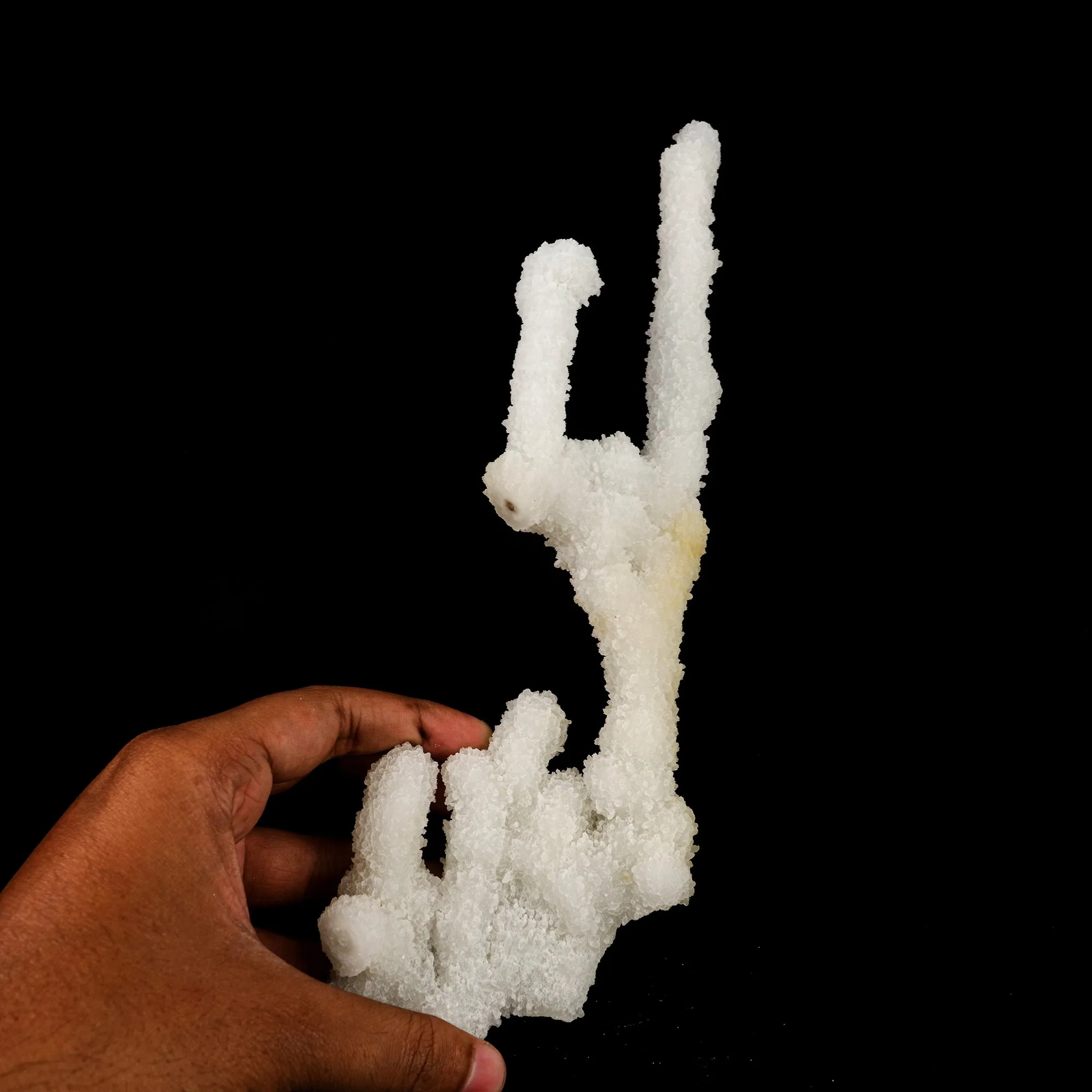 Chalcedony Coral Natural Mineral Specimen - image 5