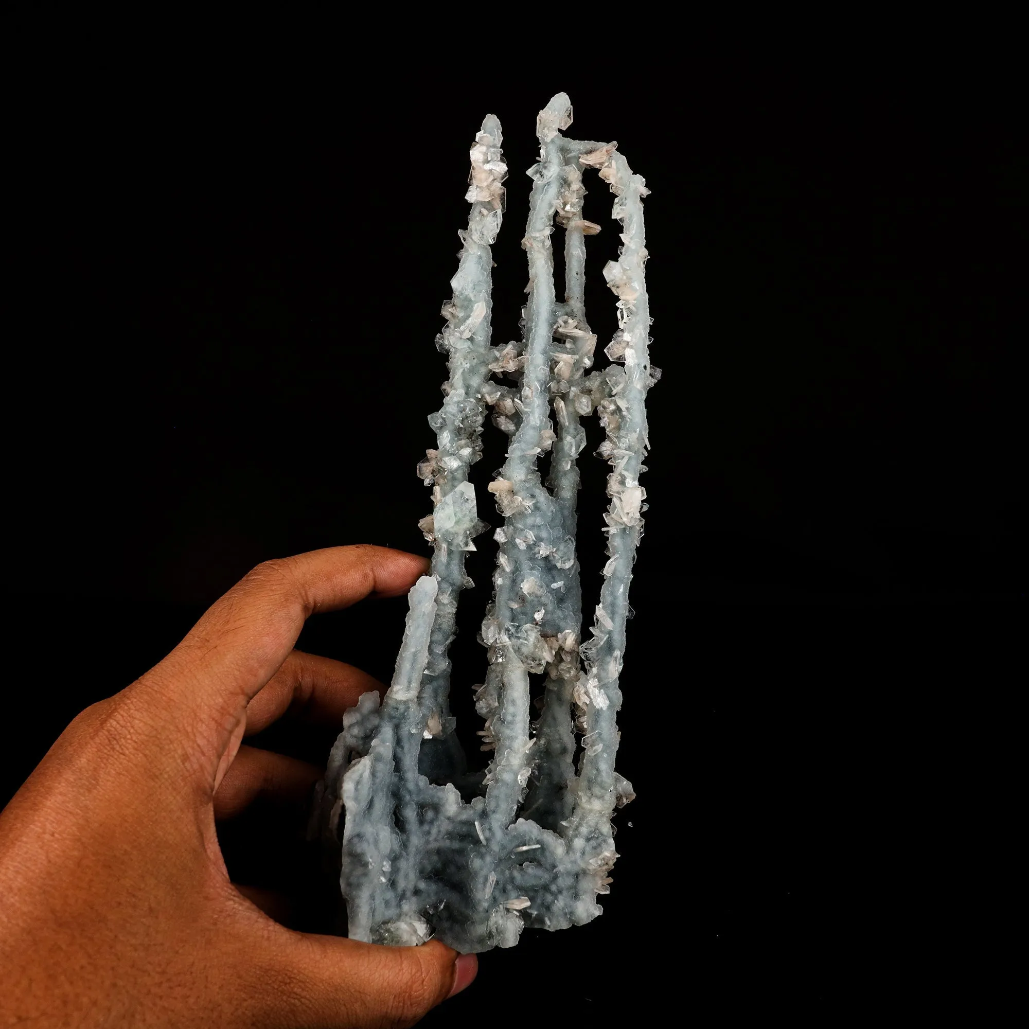 Chalcedony Coral Natural Mineral Specimen - image 4