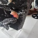 Chalcedony - image 6
