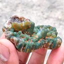 specimen video