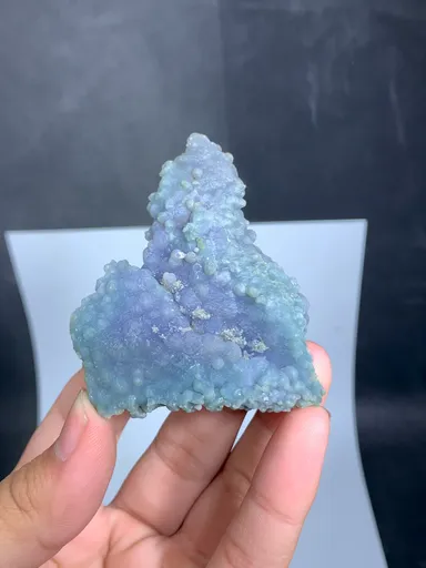 specimen video