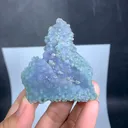 specimen video