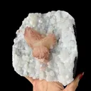 Chalcedony from Jalgaon, Jalgaon District, Nashik Division, Maharashtra, India - image 4