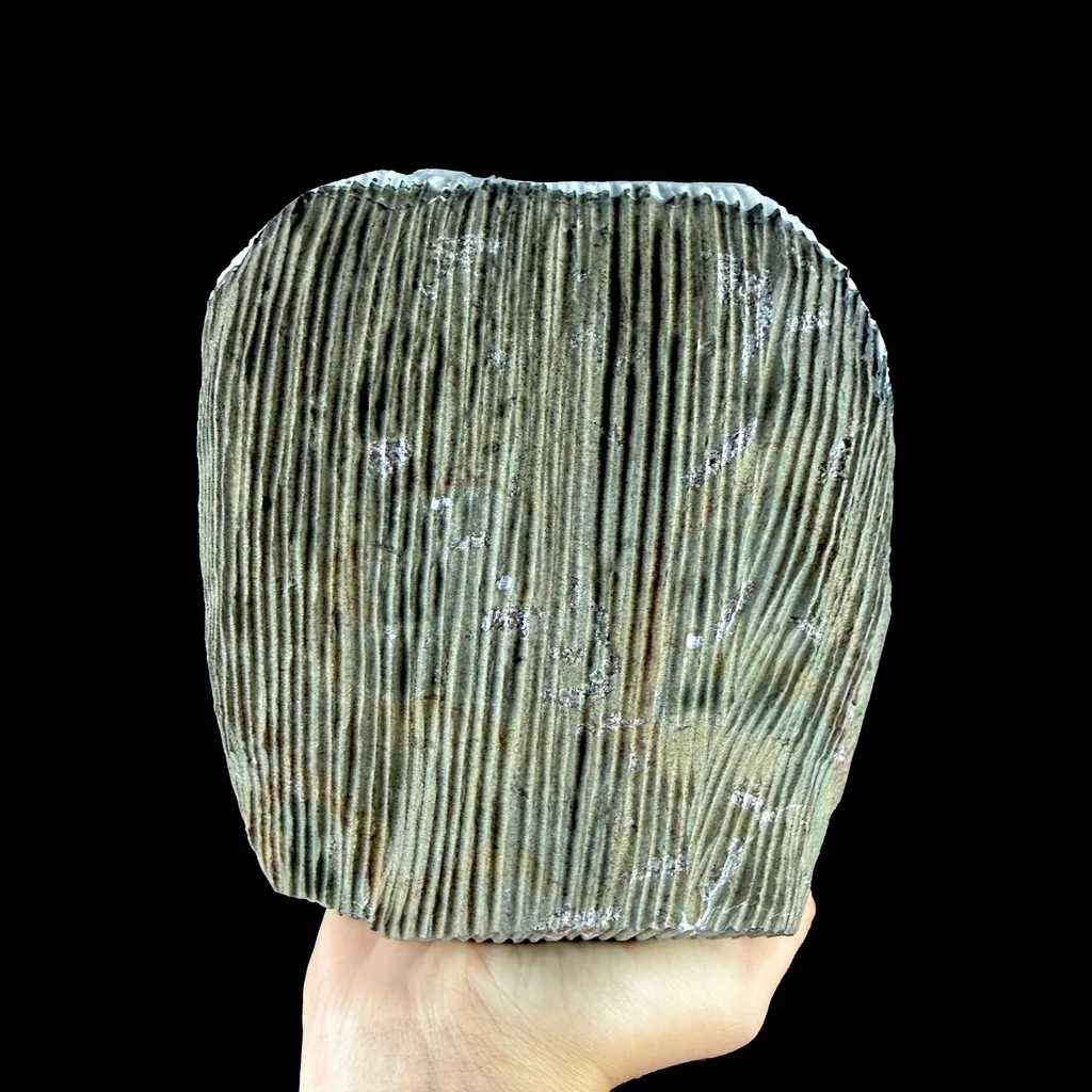 Chalcedony from Jalgaon, Jalgaon District, Nashik Division, Maharashtra, India - image 6