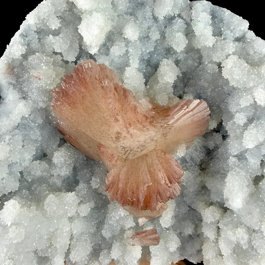Chalcedony from Jalgaon, Jalgaon District, Nashik Division, Maharashtra, India - image 5