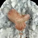Chalcedony from Jalgaon, Jalgaon District, Nashik Division, Maharashtra, India - image 5