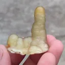 specimen video