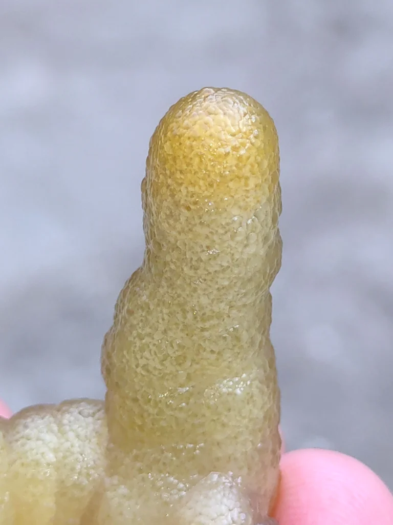 Chalcedony from Madhya Pradesh, India - image 6