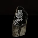 Chalcedony in Julgoldite geode Rarly found free standing Natural Mineral Specimen - image 2