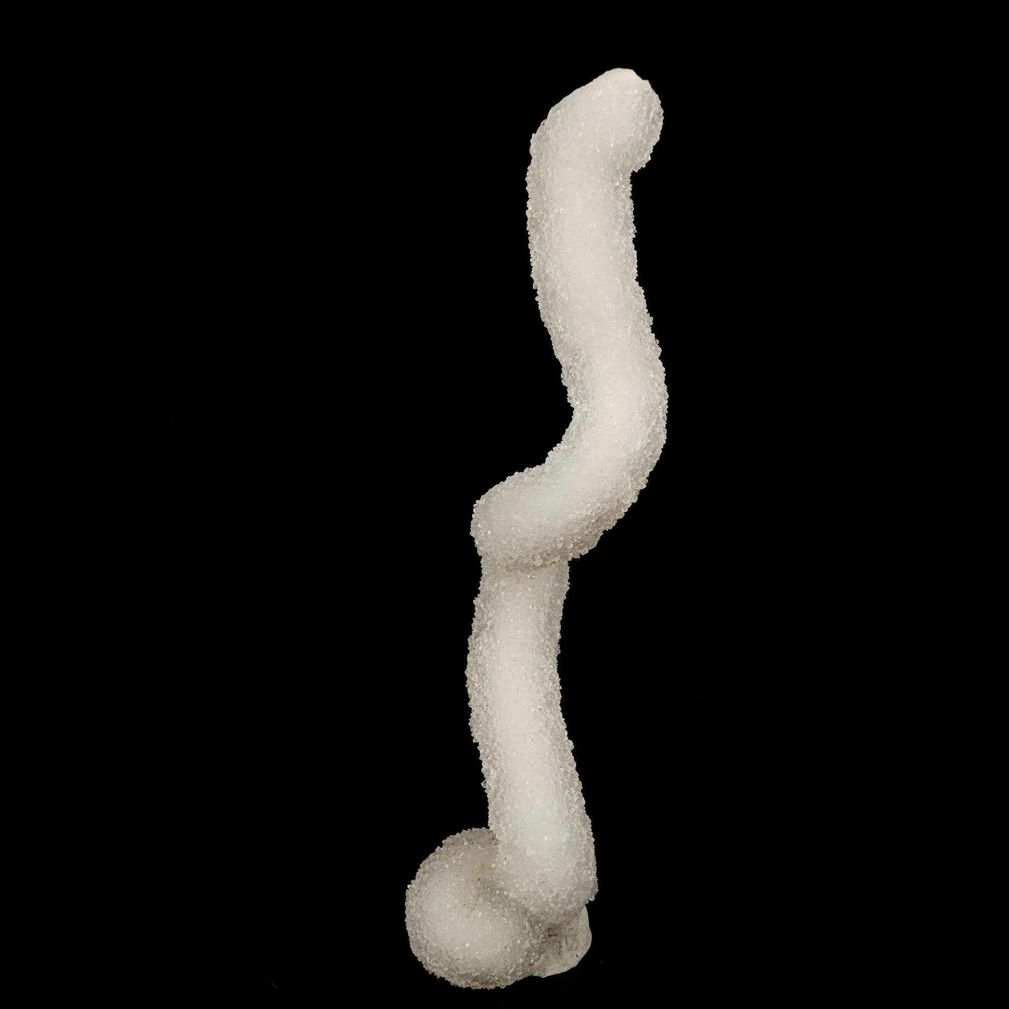 Chalcedony Spiral Coral Very Rare Natural Mineral Specimen - image 2