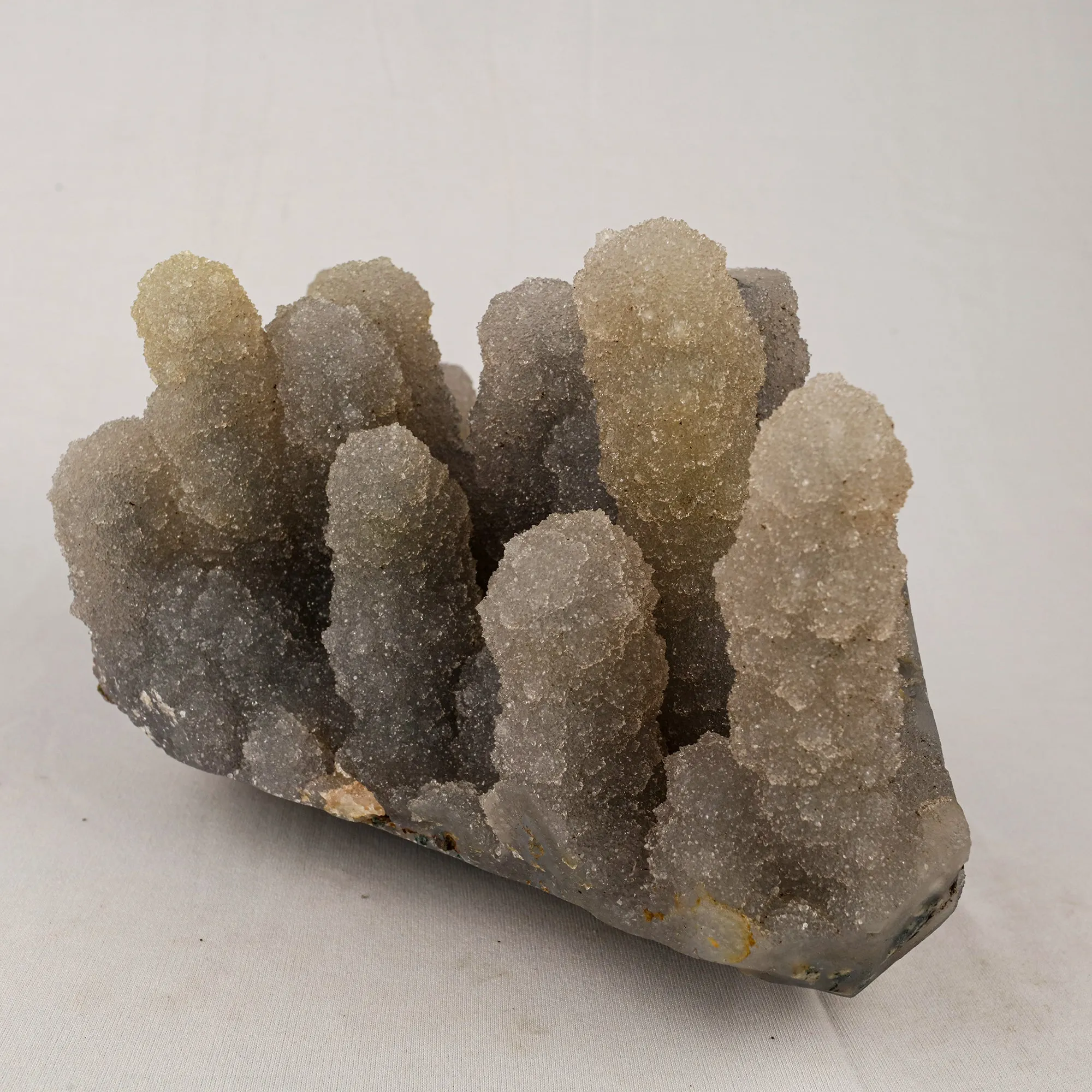 Chalcedony Stalactite Coral Formation Natural Mineral Specimen - image 4