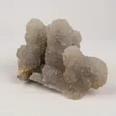 Chalcedony Stalactite Coral Formation Natural Mineral Specimen - image 2