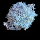 Chalcedony (Var: Blue Chalcedony) after Mesolite - image 1