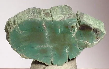 Chalcedony (Var: Petrified Wood) image