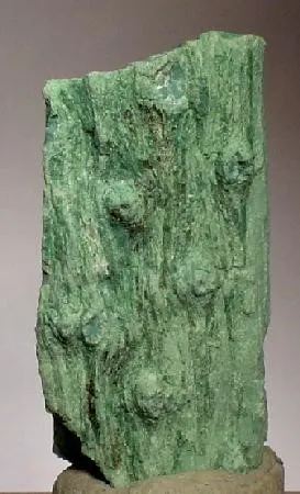 Chalcedony (Var: Petrified Wood) - image 1