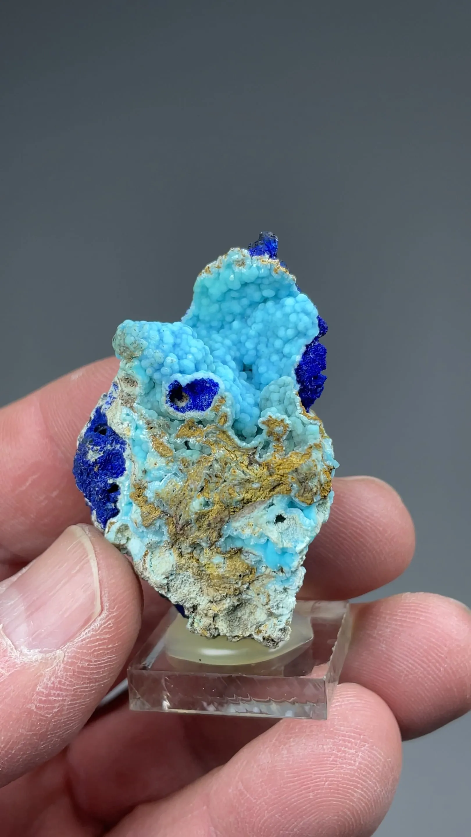 Chalcoalumite with Azurite - image 2