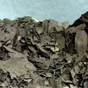 Chalcocite, Covellite, Quartz - image 2