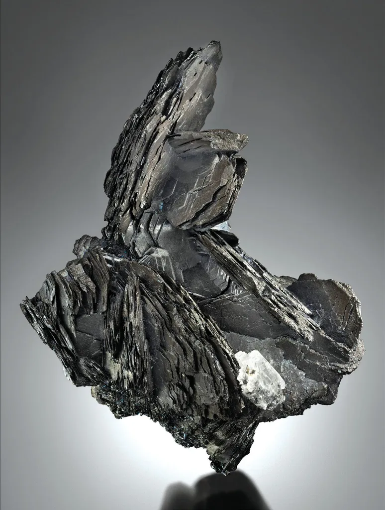 Chalcocite pseudomorphs after Covellite image