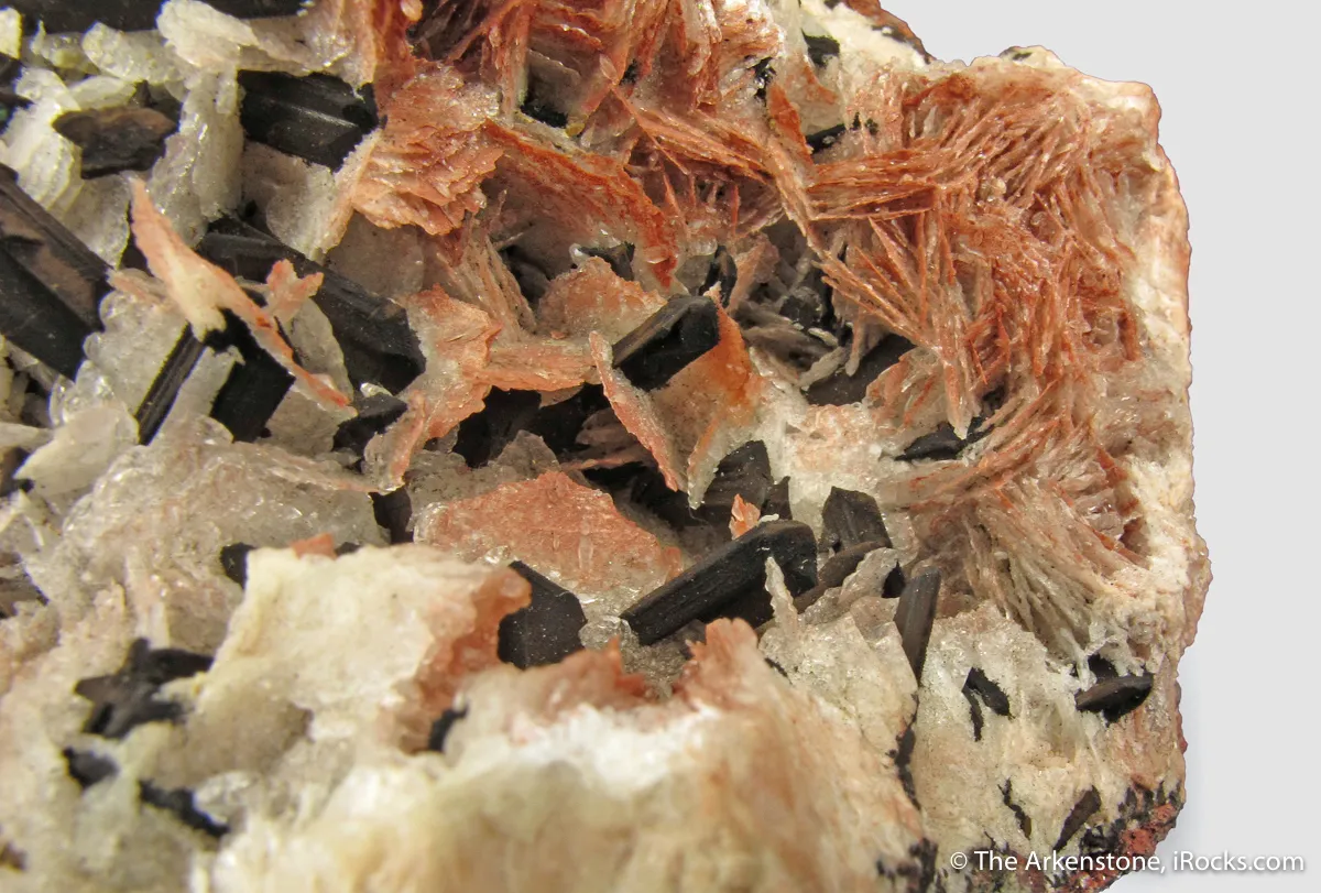 Chalcocite (twinned) on Calcite - image 6