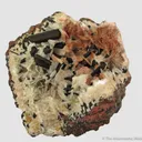 Chalcocite (twinned) on Calcite - image 5