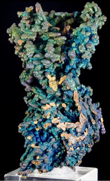 Chalcocite with Djurlite and chalcopyrite - image 2