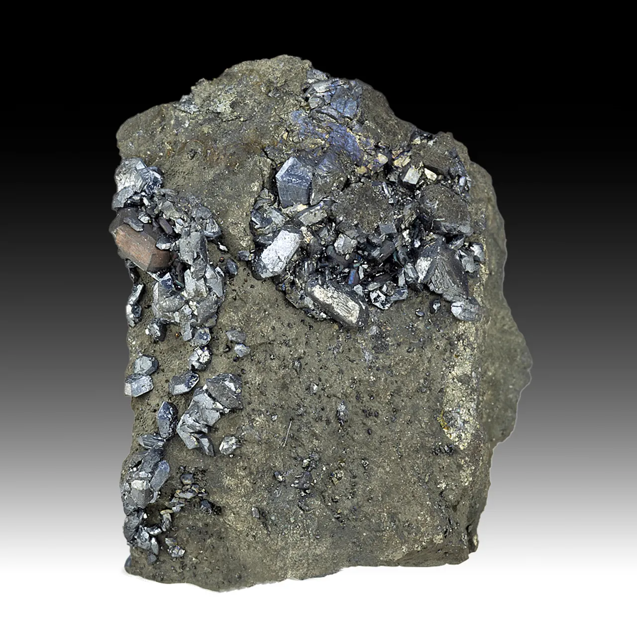 Chalcocite with Pyrite - image 1
