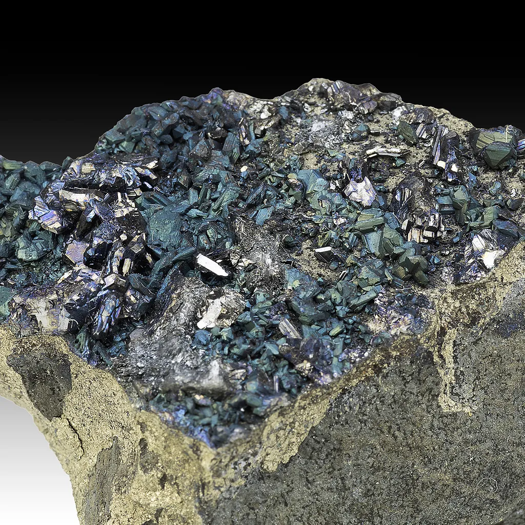 Chalcocite with Pyrite image