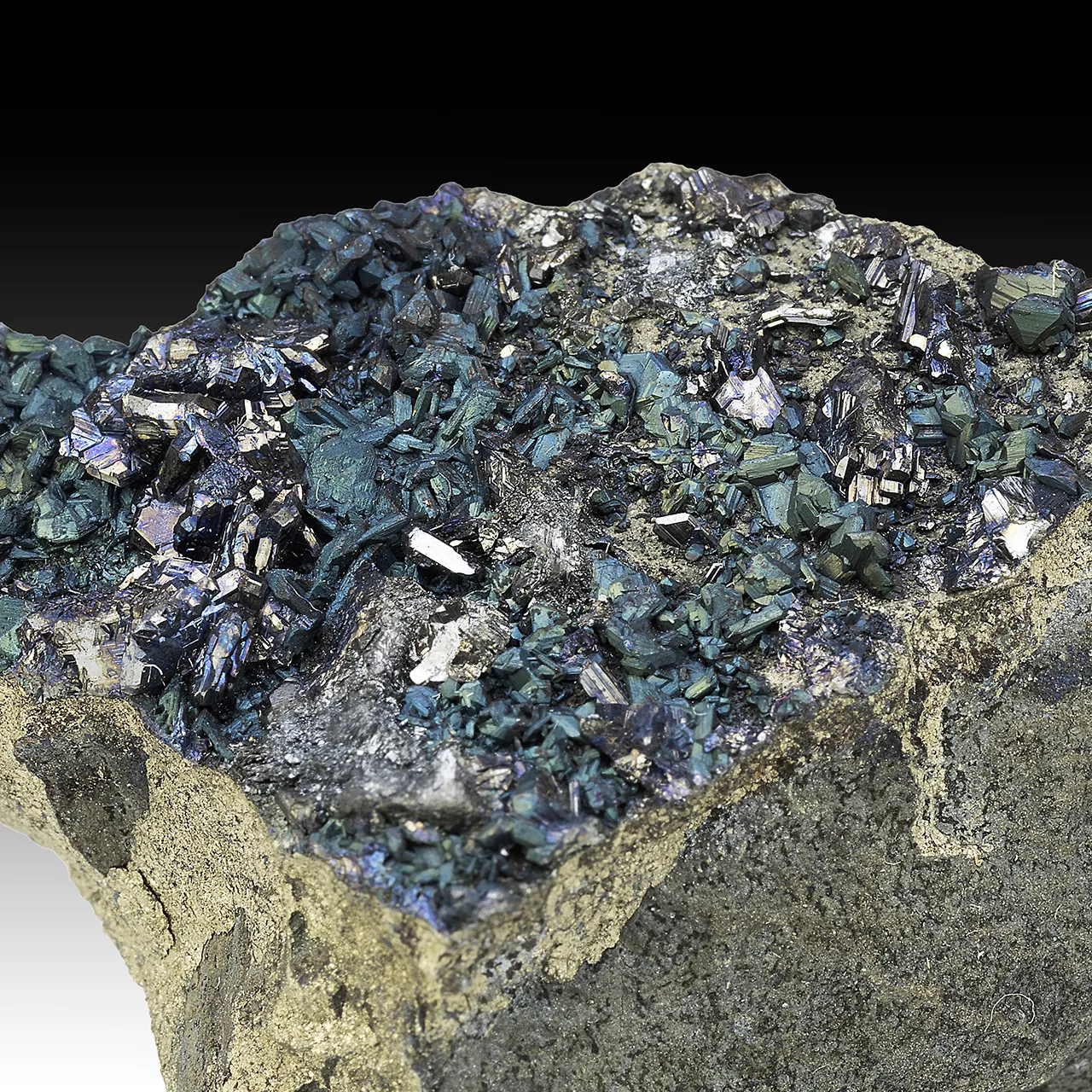 Chalcocite with Pyrite - image 1