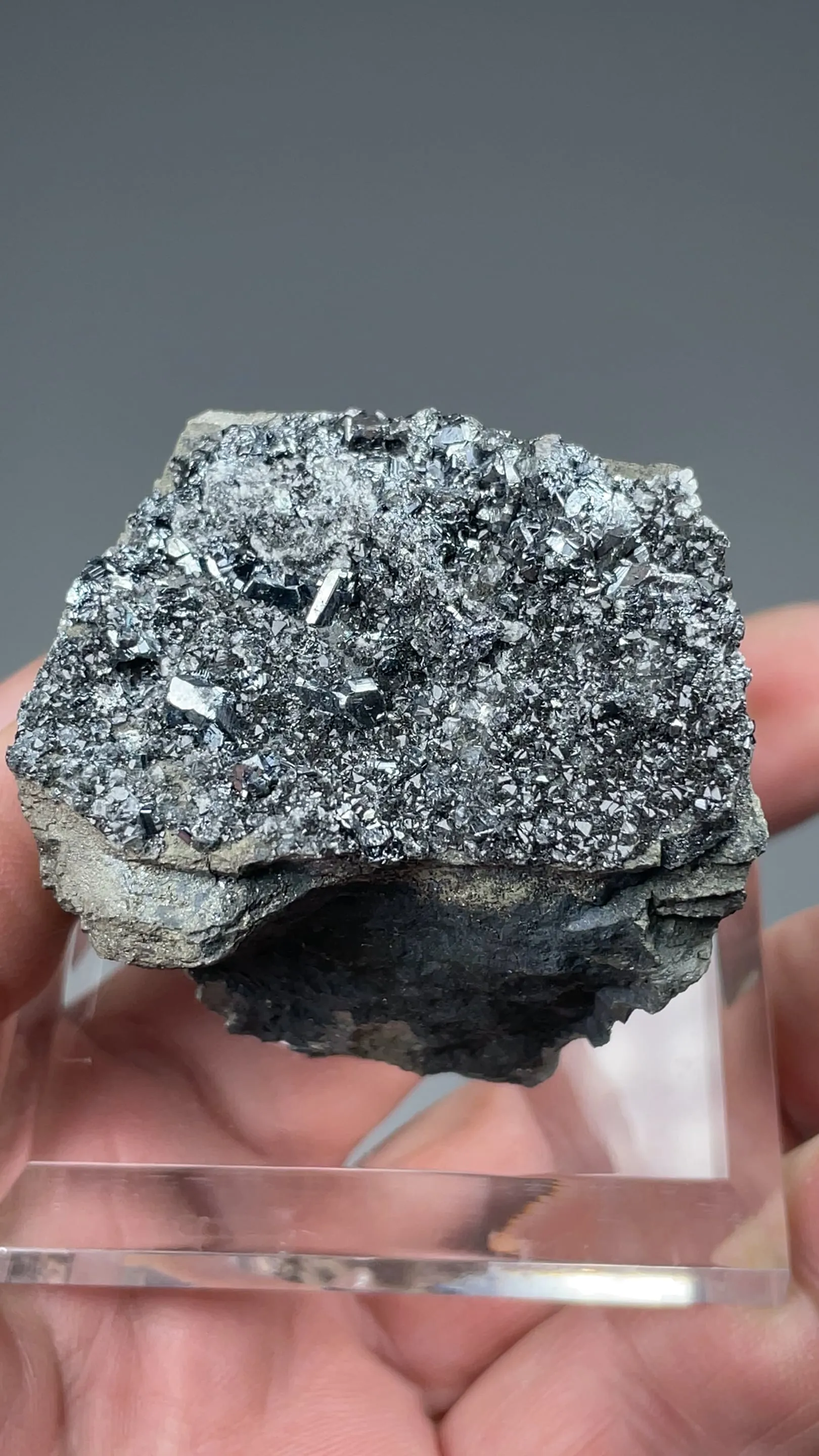 Chalcocite with Pyrite - image 2