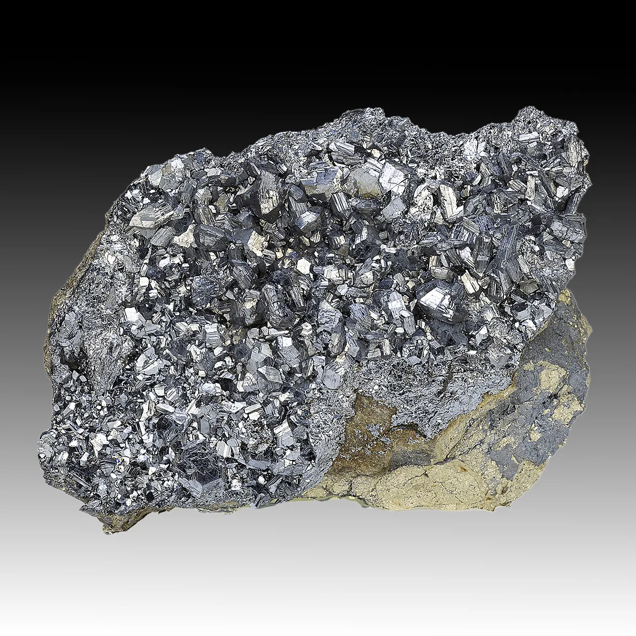 Chalcocite with Pyrite - image 1