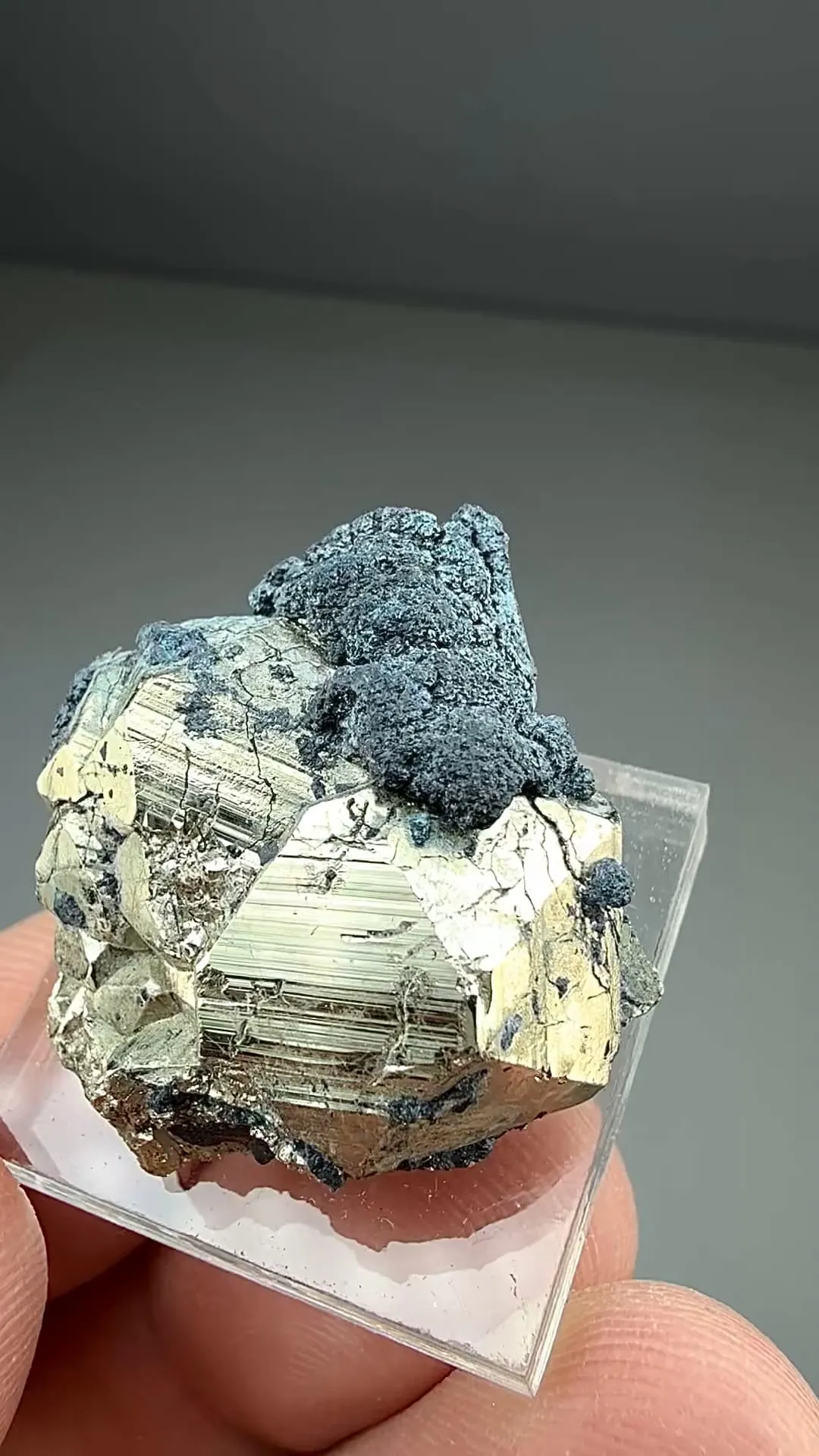 Chalcocite with Pyrite - image 2